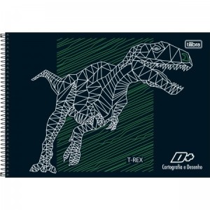 CADERNO DE CARTOGRAFIA E DESENHO ESPIRAL CAPA DURA D + MASCULINO 96 FOLHAS 275MMX200MM 142905